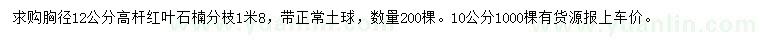 求购胸径10、12公分高杆红叶石楠