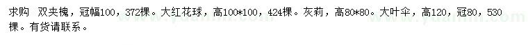 求购双夹槐、大红花球、灰莉