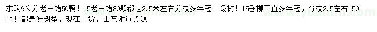 求购9、15公分老白蜡、15公分垂柳