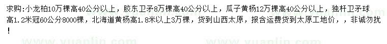 求购小龙柏、胶东卫矛、瓜子黄杨等