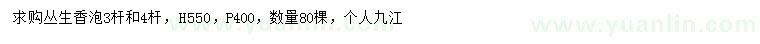 求购高550公分丛生香泡