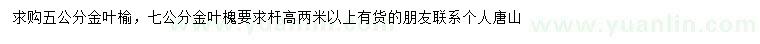 求购5公分金叶榆、7公分金叶槐