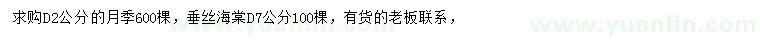 求购地径2公分月季、地径7公分垂丝海棠