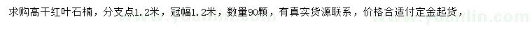 求购冠幅1.2米高杆红叶石楠