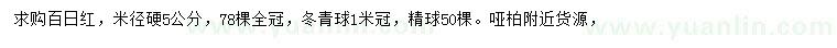 求购米径5公分百日红、冠1米冬青球