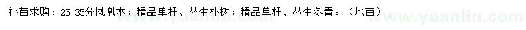 求购凤凰木、丛生朴树、丛生冬青