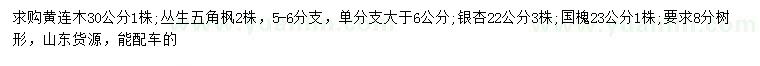 求购黄连木、丛生五角枫、银杏等