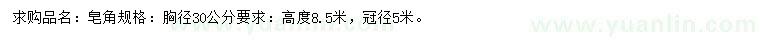 求购胸径30公分皂角