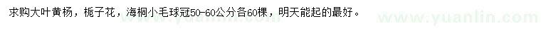 求购大叶黄杨、栀子花、海桐小毛球