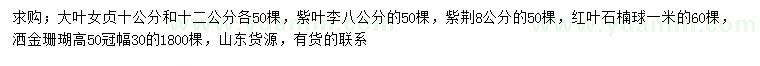 求购大叶女贞、紫叶李、紫荆等