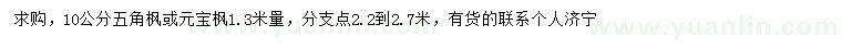 求购10公分五角枫或元宝枫