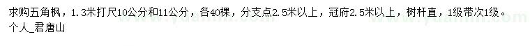 求购1.3米打尺10、11公分五角枫