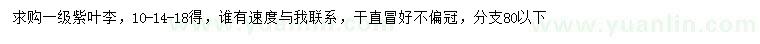 求购10、14、18公分紫叶李