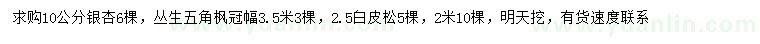 求购银杏、丛生五角枫、白皮松