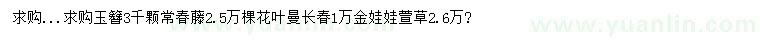 求购玉簪、常春藤、花叶曼长春等