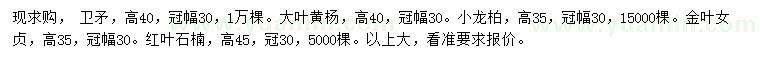 求购卫矛、大叶黄杨、小龙柏等