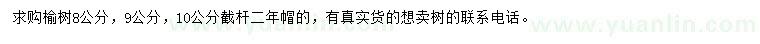 求购8、9、10公分榆树