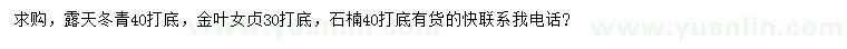 求购露天冬青、金叶女贞、石楠