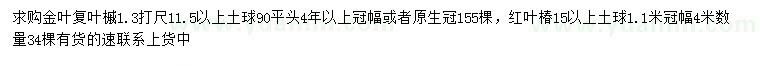 求购1.3米量11.5公分以上金叶复叶槭、冠幅4米红叶椿
