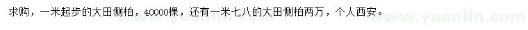 求购1米以上、1.78米侧柏