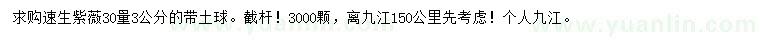 求购30公分量3公分速生紫薇