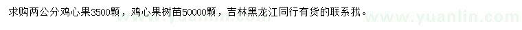 求购2公分鸡心果、鸡心果树苗