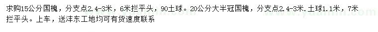 求购15、20公分国槐