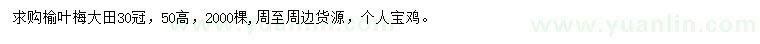 求购冠幅30公分榆叶梅