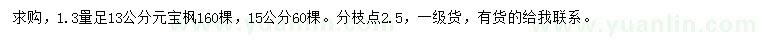 求购1.3米量13、15公分元宝枫