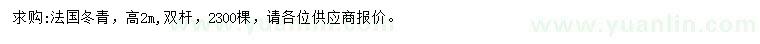 求购高2米法国冬青