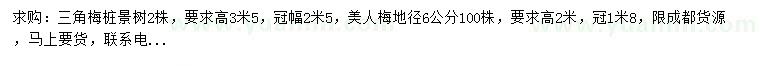 求购冠幅2.5米三角梅、地径6公分美人梅