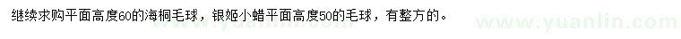 求购高60公分海桐毛球、银姬小蜡