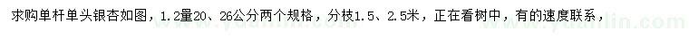 求购1.2米量20、26公分银杏