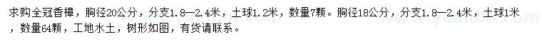 求购胸径18、20公分香樟