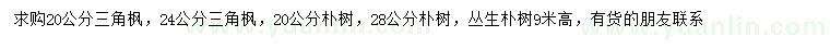 求购三角枫、朴树、丛生朴树