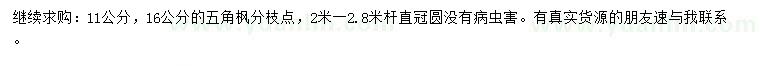 求购11、16公分五角枫