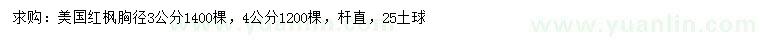 求购胸径3、4公分美国红枫