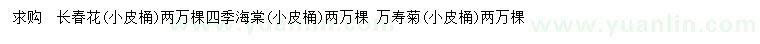 求购长春花、四季海棠、万寿菊