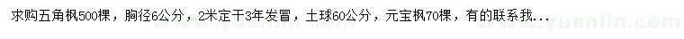 求购胸径6公分五角枫、元宝枫