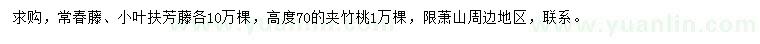 求购常春藤、小叶扶芳藤、夹竹桃