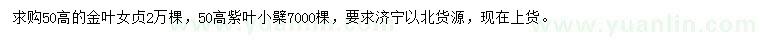 求购高50公分金叶女贞、紫叶小檗