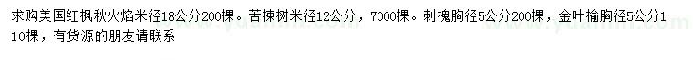 求购美国红枫秋火焰、苦楝树、刺槐等