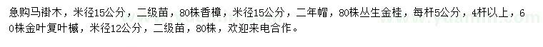 求购马褂木、丛生金桂、金叶复叶槭