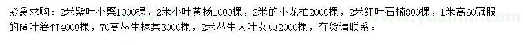 求购紫叶小檗、小叶黄杨、小龙柏等