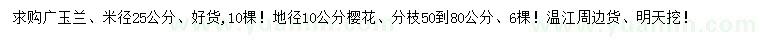 求购米径25公分广玉兰、地径10公分樱花