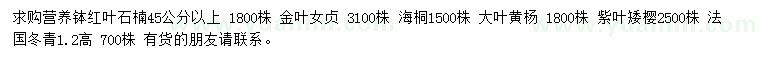 求购红叶石楠、金叶女贞、海桐等