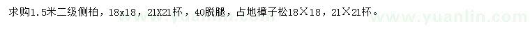 求购1.5米侧柏、樟子松