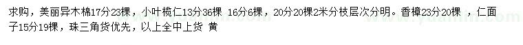 求购美丽异木棉、小叶榄仁、香樟等