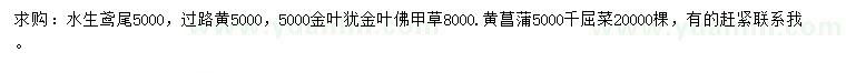 求购水生鸢尾、过路黄、金叶犹等