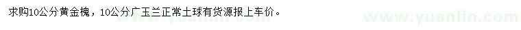 求购10公分黄金槐、广玉兰